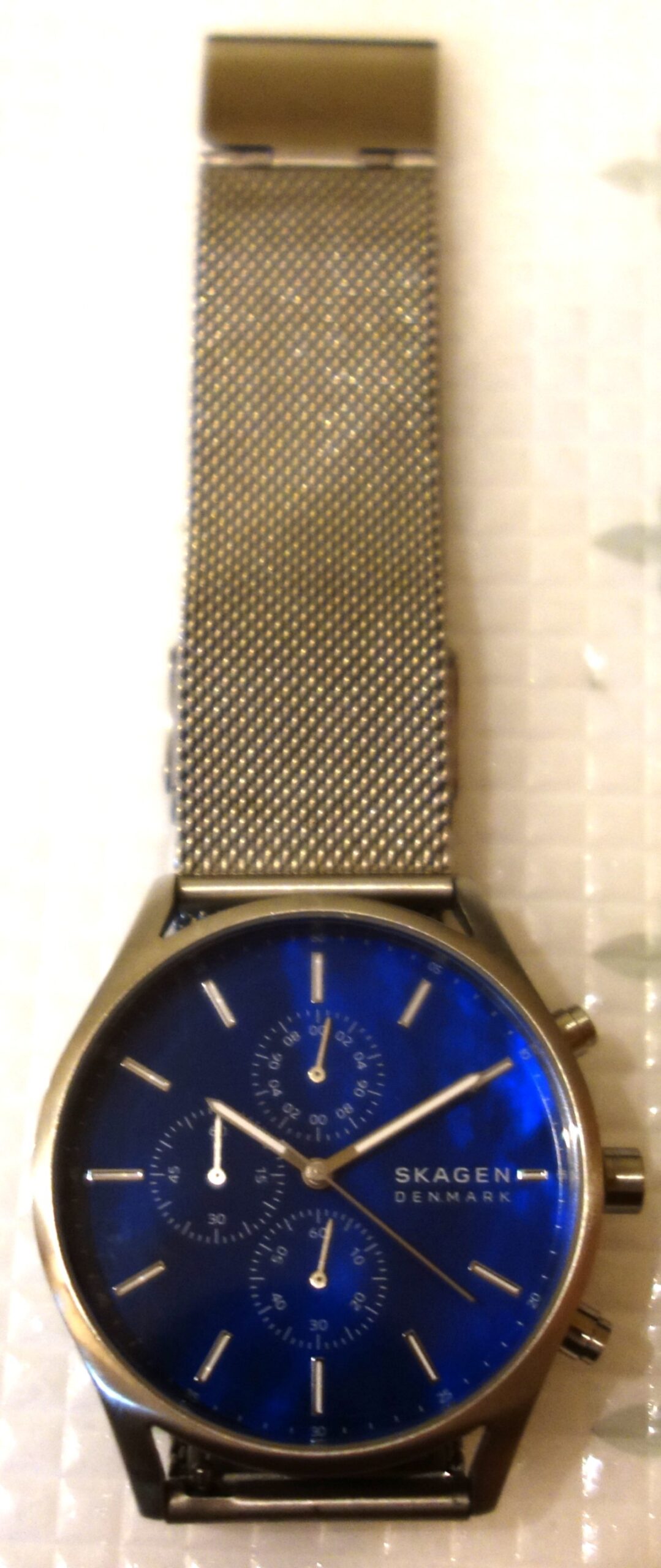 スカーゲン HOLST SKW6652の全体像