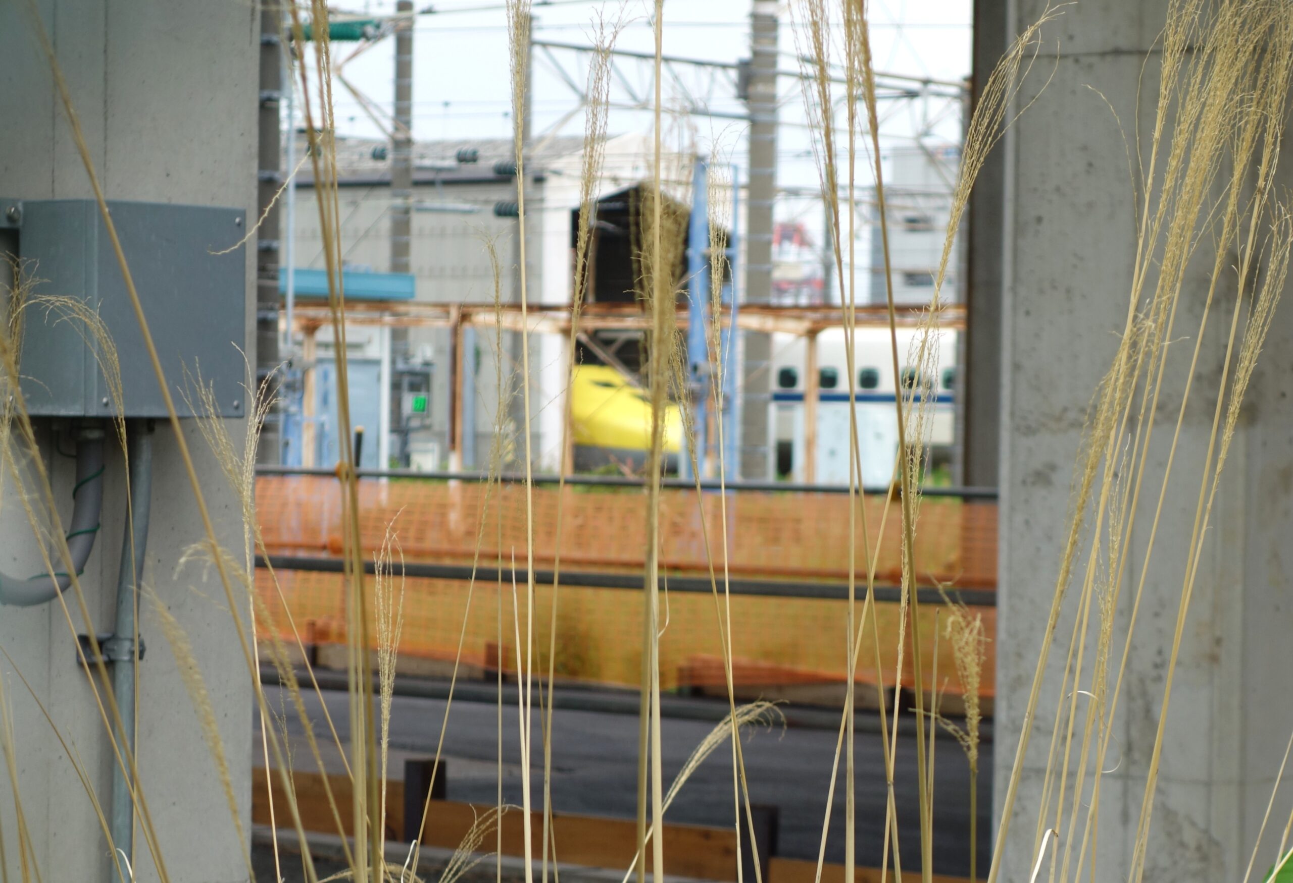 陸橋を下りた先からも見えたドクターイエロー