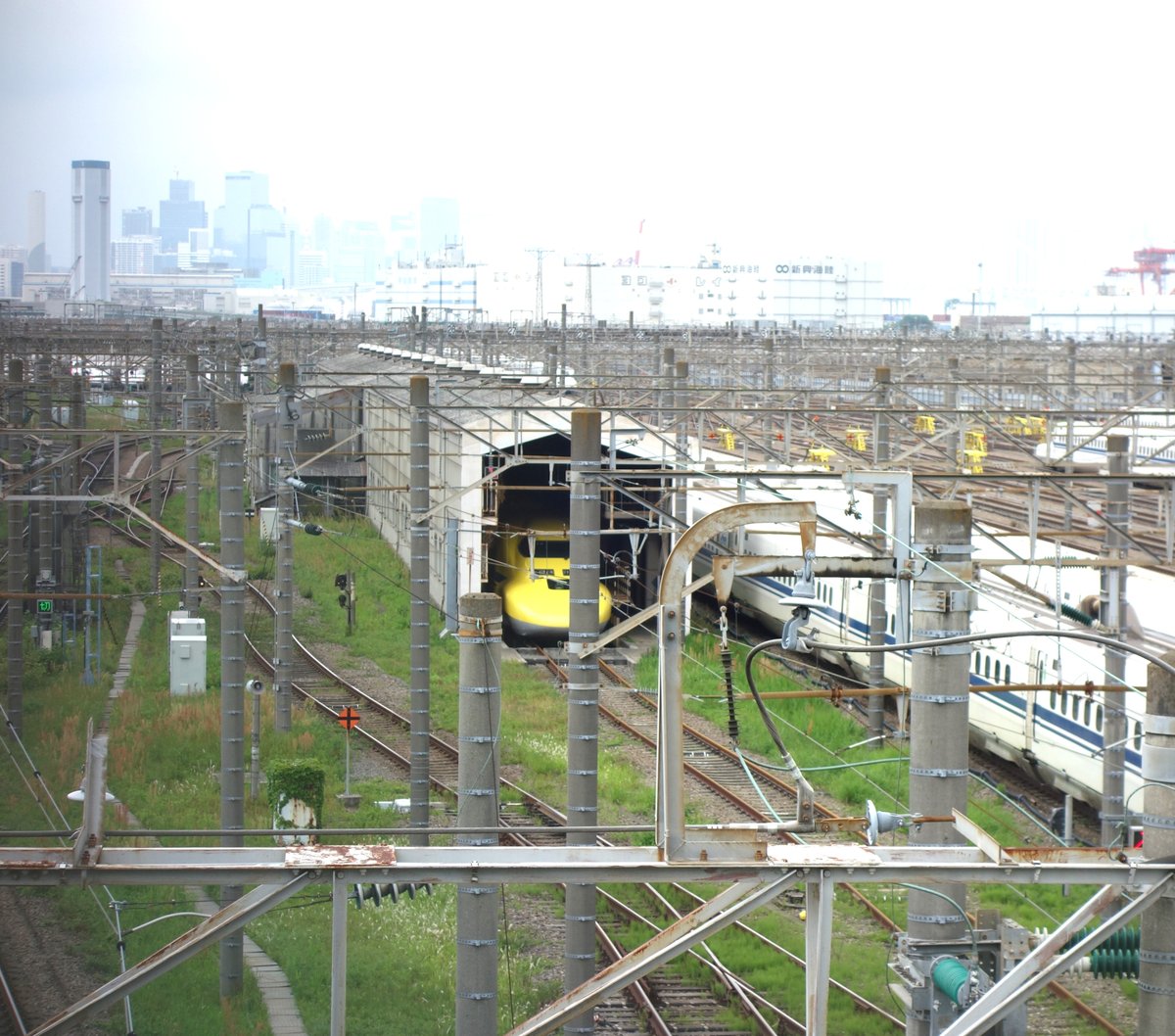 大井車両基地で待機するドクターイエロー