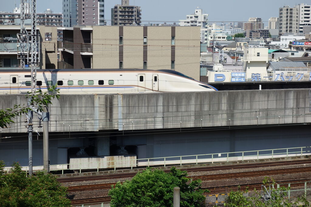 飛鳥山公園の展望広場から見た、白い車体に銅色と青のラインが入ったE7系新幹線が高架を走る様子
