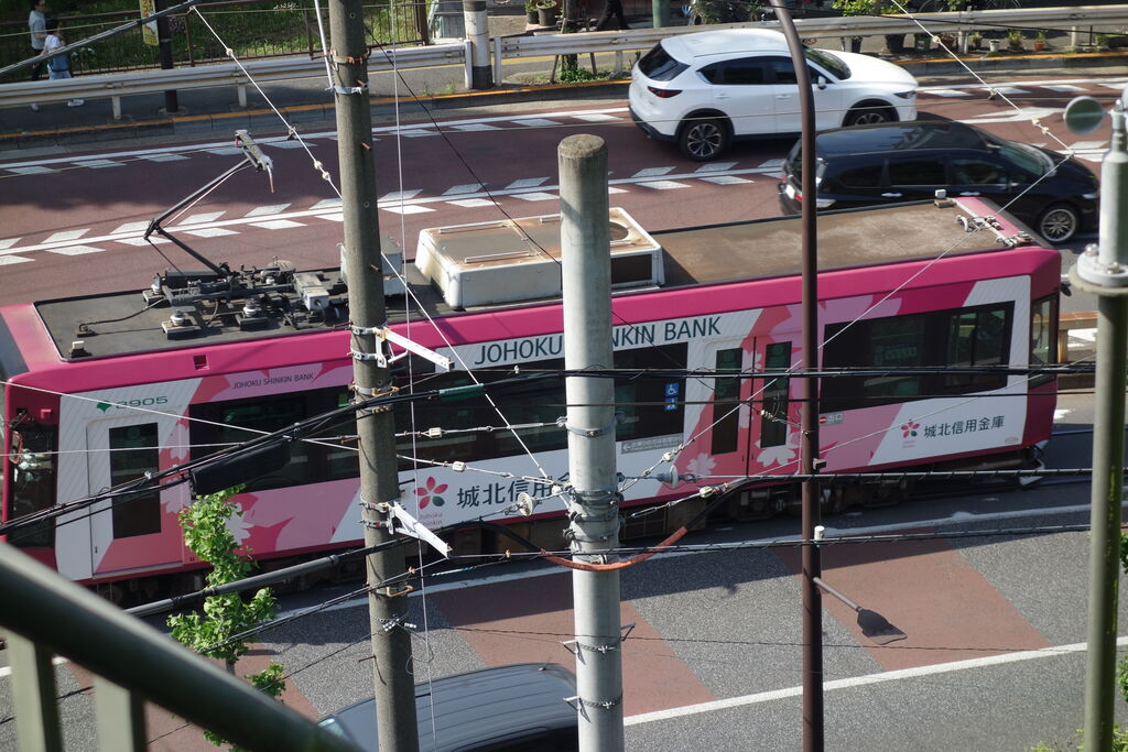 王子駅前の道路を走る、城北信用金庫のピンク色ラッピングの都電荒川線の車両
