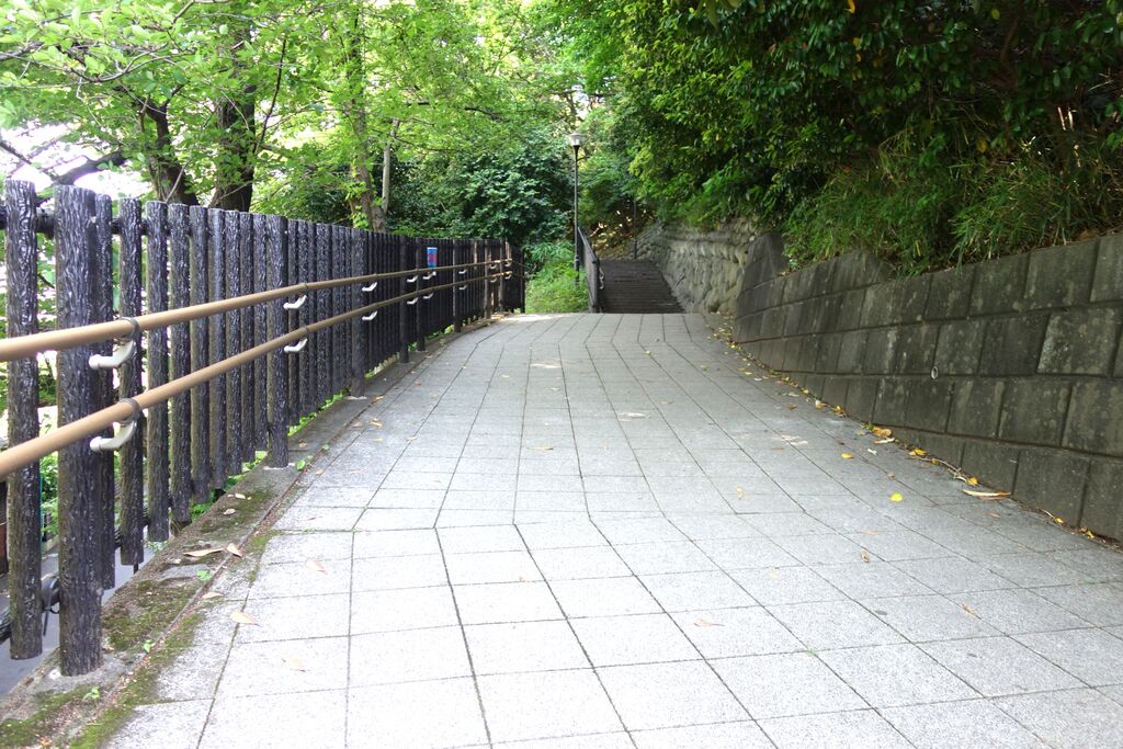 飛鳥山公園の展望広場へ向かう園内の遊歩道