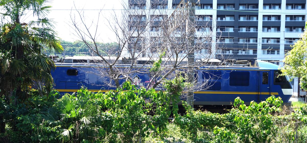 木々の向こうに見えるEF210形電気機関車(桃太郎)