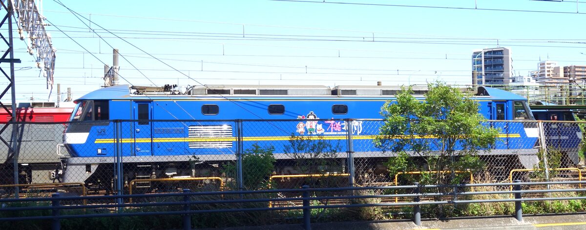 EF210形「桃太郎」(EF210-366)
