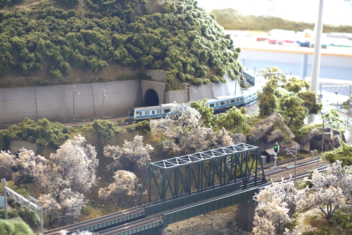 桜の木が並ぶ区間。奥のトンネルの脇に京浜東北線のE233系、手前に鉄橋がある